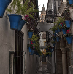 Similar image 12690094