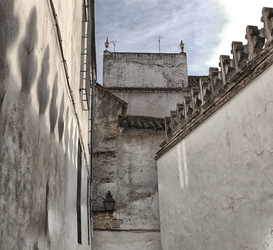 Similar image 12690006