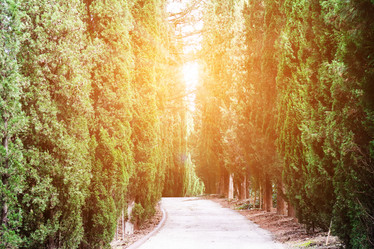 Similar image 12691677