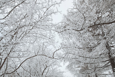 Similar image 12694047