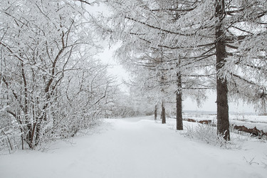 Similar image 12694048