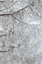 Similar image 12694049