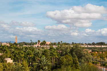 Similar image 12694502