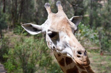 Similar image 12689593