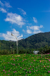 Similar image 12982440