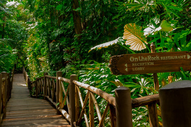 Similar image 12985685