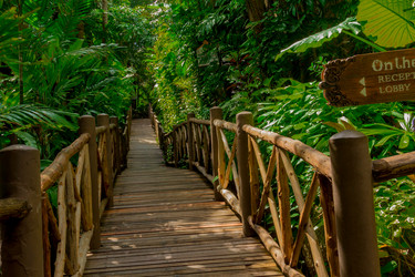 Similar image 12985686