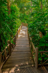 Similar image 12985687