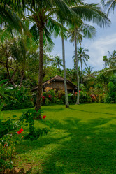 Similar image 12985740