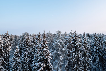 Similar image 12999528