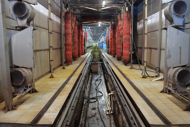 Similar image 12979347