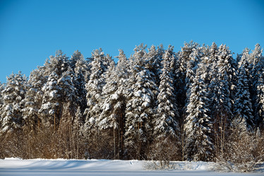 Similar image 12999482