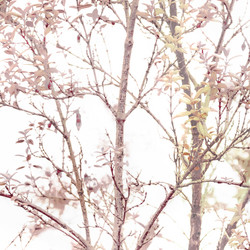 Similar image 12990921