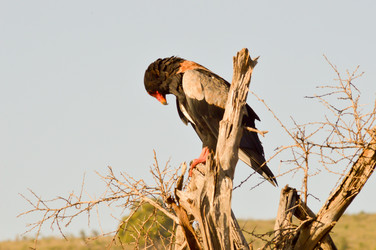 Similar image 12689617