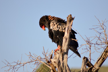 Similar image 12689619