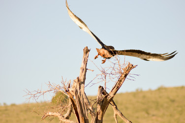 Similar image 12689620