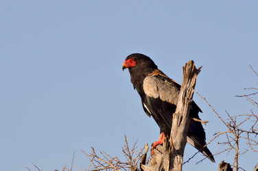 Similar image 12689621