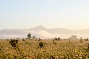 Similar image 12689646