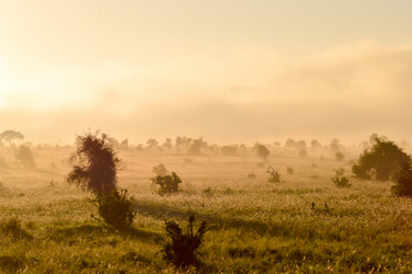 Similar image 12689647