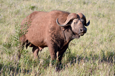 Similar image 12689649