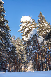 Similar image 12698073