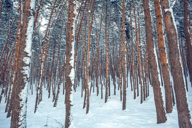 Similar image 12698075