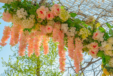 Similar image 12983999