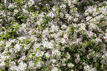 Similar image 12982090