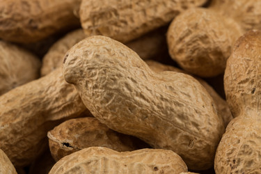 Similar image 12982111