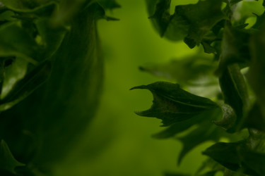 Similar image 12982171