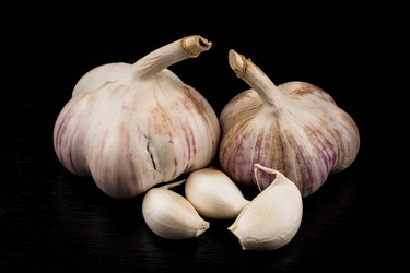 Similar image 12982188