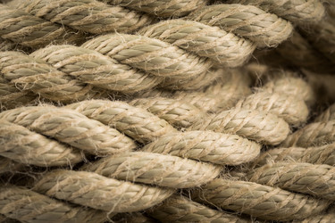 Similar image 12982232