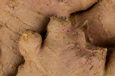 Similar image 12982288