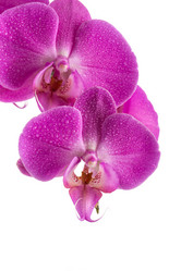 Similar image 12982404