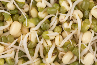 Similar image 12982423