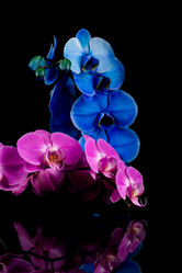 Similar image 12982464