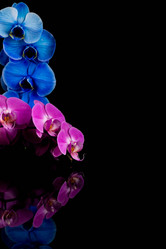 Similar image 12982465