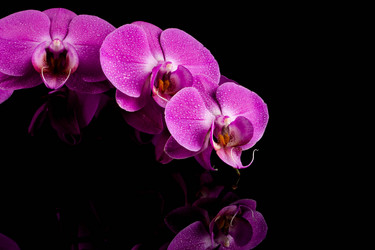 Similar image 12982466