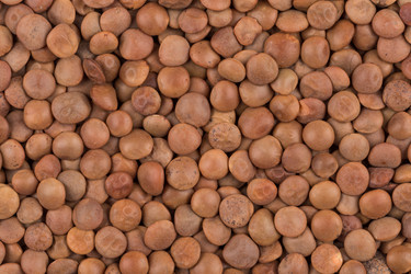 Similar image 12982539