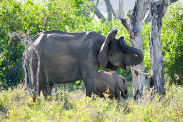 Similar image 12689602