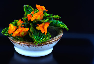 Similar image 12690830