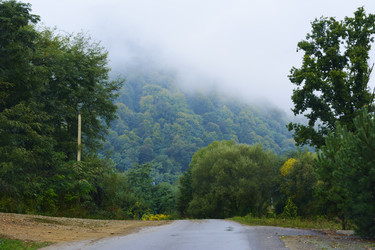 Similar image 12690908