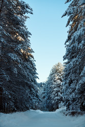 Similar image 12999158