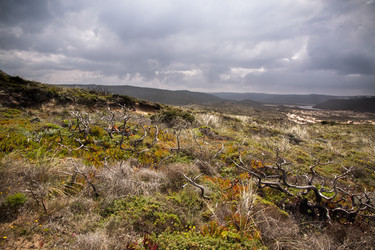 Similar image 12694421