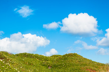 Similar image 12694429