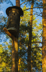 Similar image 12989589