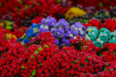 Similar image 12989607