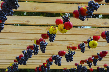 Similar image 12989609