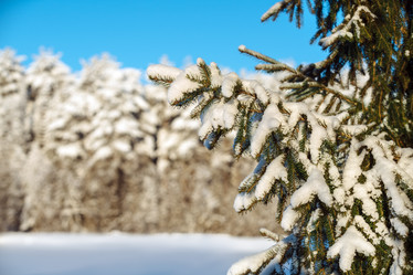 Similar image 12999339