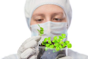 Similar image 12692719